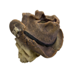 Rebel Skull - Image 2