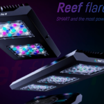 Reef Flare Pro LED