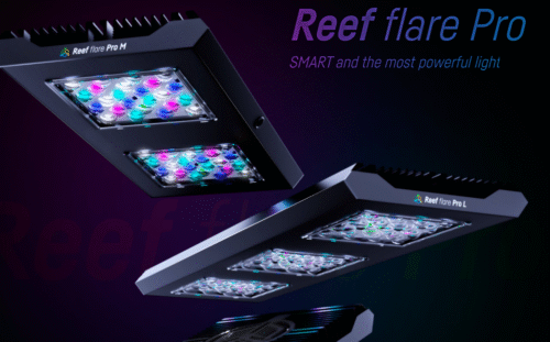 Reef Flare Pro Blue LED