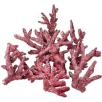 Real Reef Rock-Branch Rock per kg - Image 2