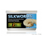 Exo Terra Silkworms Medium 34gm
