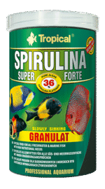 Tropical - Spirulina Super Forte - Granulat