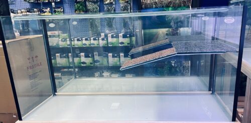 Turtle tank 4x18x2 6mm with Ramp - Image 3