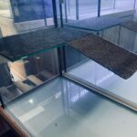 Turtle tank 4x18x2 6mm with Ramp
