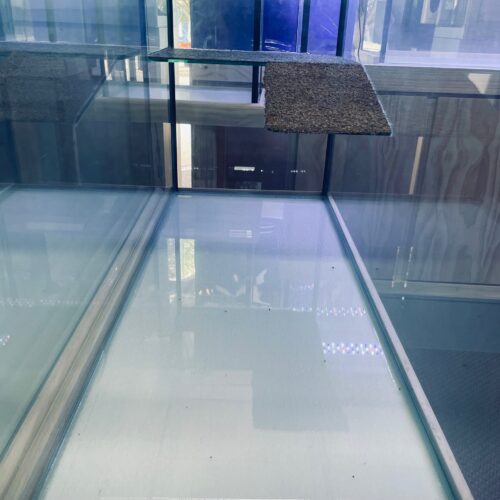 Turtle tank 4x18x2 6mm with Ramp - Image 2