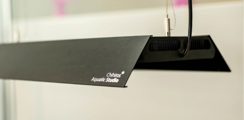 Chihiros Shade - Image 3